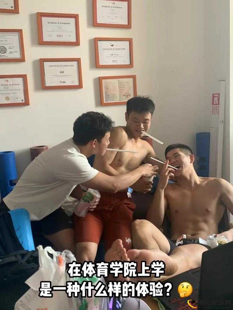 和体育生做是种什么体验：与体育生相处的独特感受与经历分享