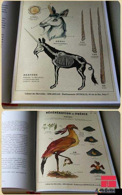 委蛇奇幻之旅，深入神都夜行录探寻神秘生物之谜